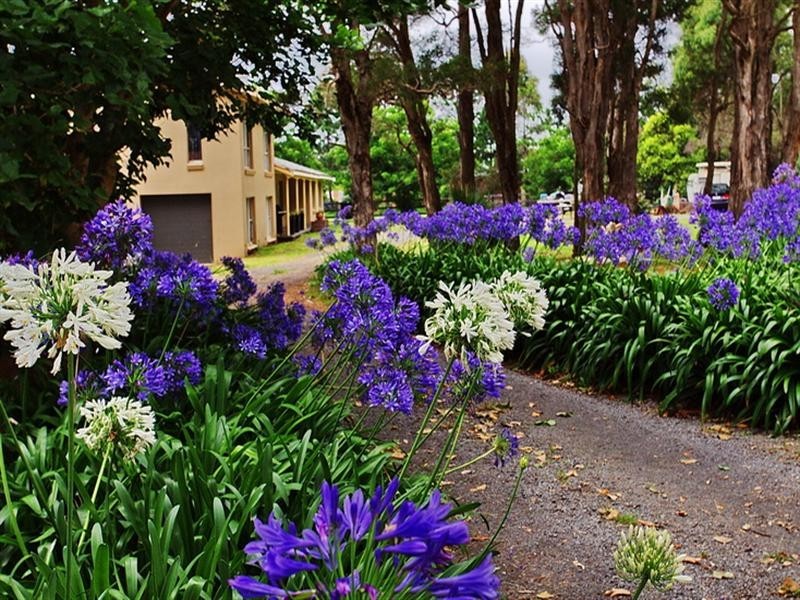 111 Worrigee Road, Worrigee NSW 2540