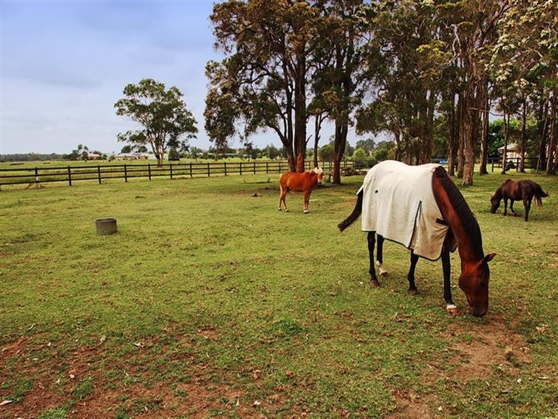 111 Worrigee Road, Worrigee NSW 2540