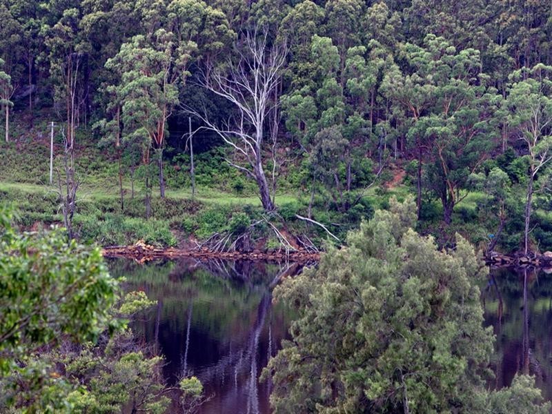 431 Koloona Drive, Watersleigh NSW 2540