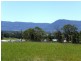 505 Peppermint Drive, Worrigee NSW 2540
