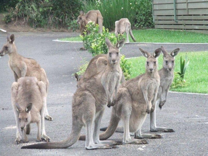 20/33 Berrara Waters, Berrara NSW 2540