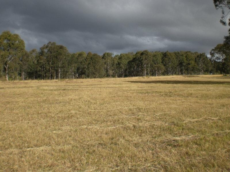 Lot 133 Nutans Cresent, Worrigee NSW 2540