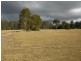 Lot 131 Nutans Crest, Worrigee NSW 2540
