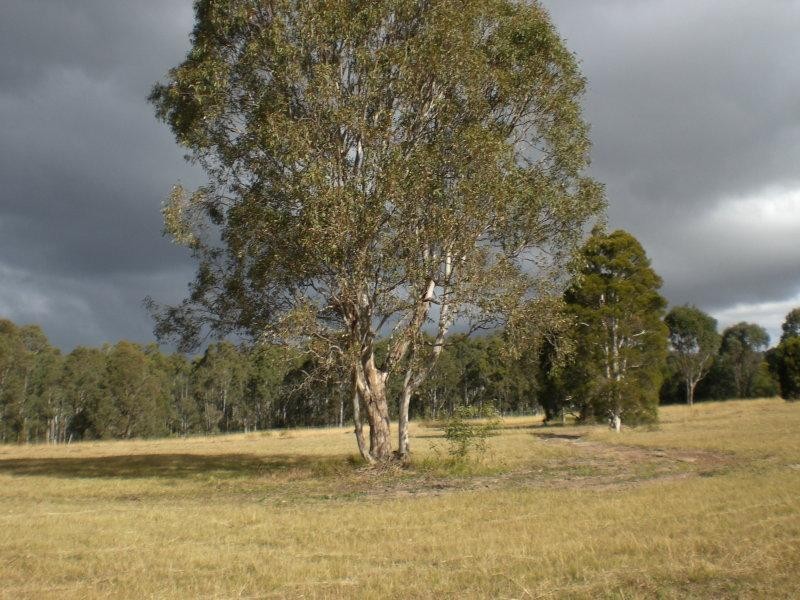 Lot 132 Nutans Crest, Worrigee NSW 2540