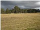 Lot 135 Nutans Crest, Worrigee NSW 2540