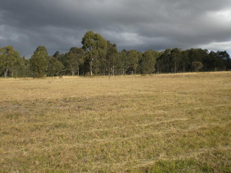 Lot 135 Nutans Crest, Worrigee NSW 2540
