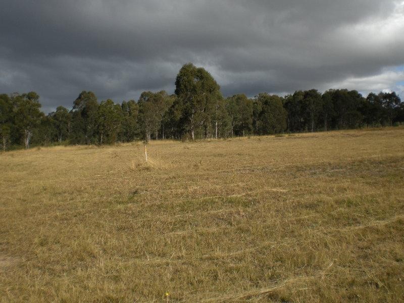 Lot 136 Nutans Crest, Worrigee NSW 2540