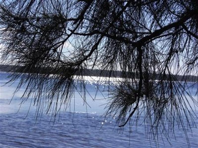 Sussex Inlet NSW 2540