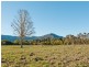 Berry NSW 2535