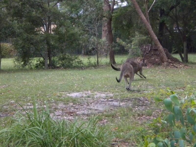 Sanctuary Point NSW 2540