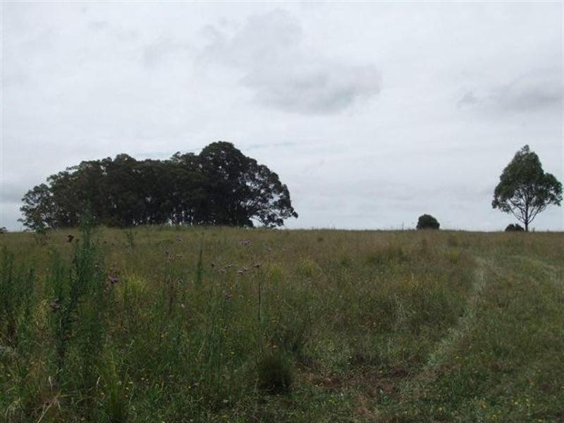 Lot 9 Hames Road, Nowra NSW 2541