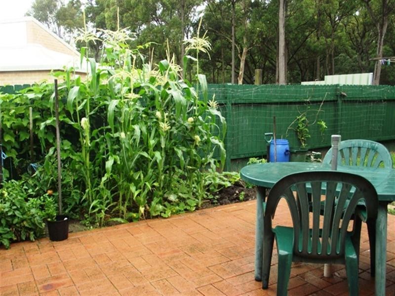 Bomaderry NSW 2541