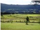 Bomaderry NSW 2541