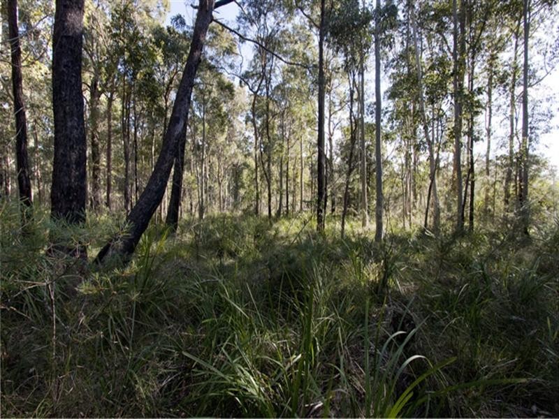 14 Peterson Road, Falls Creek NSW 2540