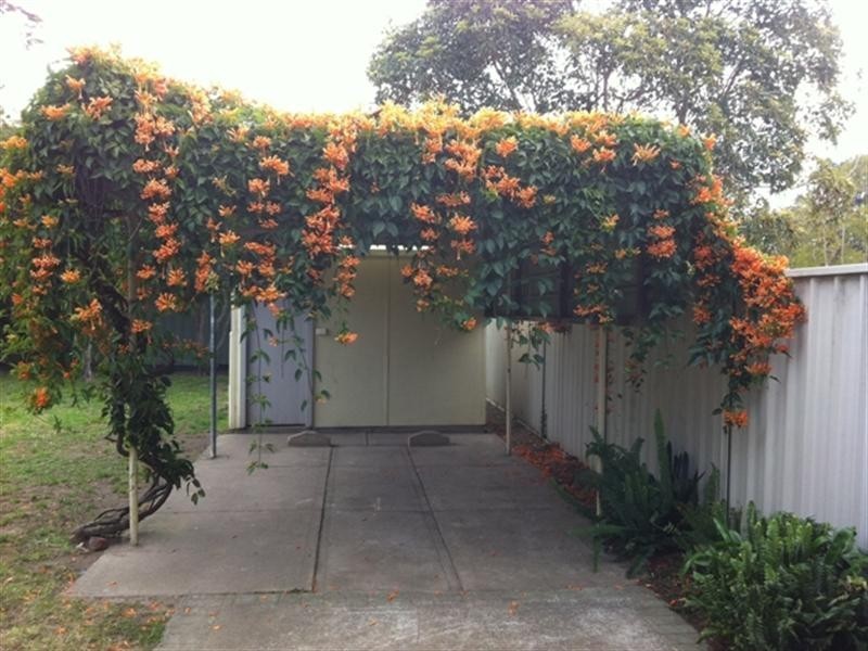 243 Kinghorne Street, Nowra NSW 2541