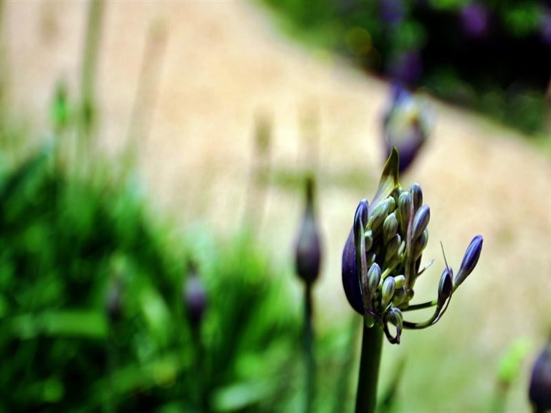 Lot 2 Alpina Place, Worrigee NSW 2540