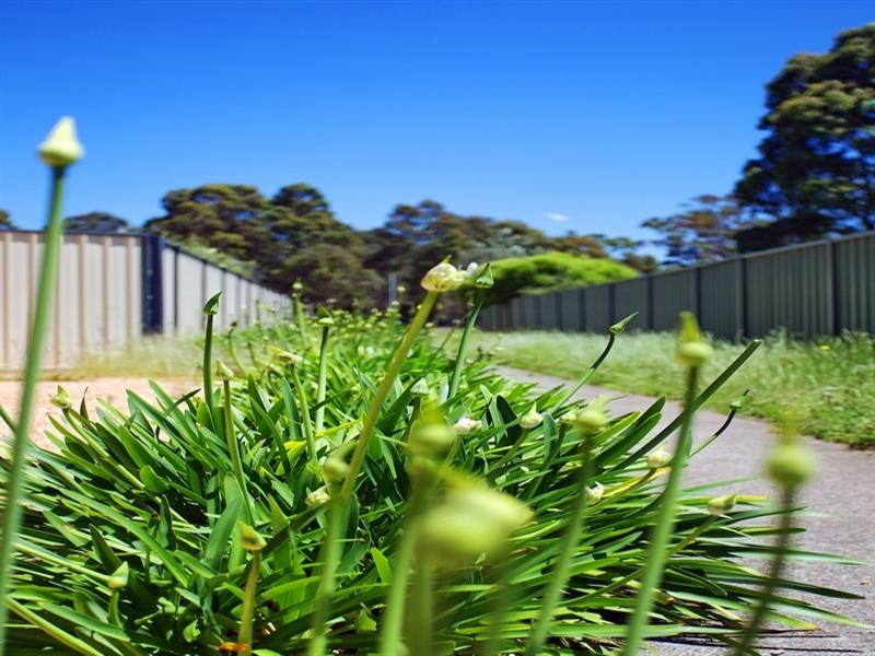 Lot 8 Alpina Place, Worrigee NSW 2540