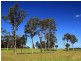 Lot 117a and 4 Taylors Lane, Cambewarra NSW 2540