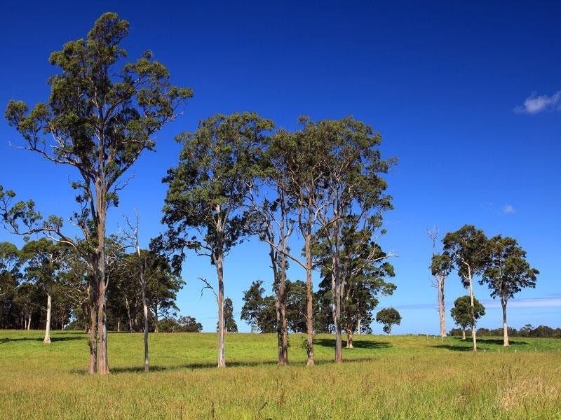 Lot 117a and 4 Taylors Lane, Cambewarra NSW 2540