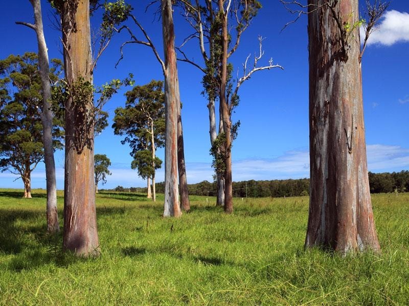 Lot 117a and 4 Taylors Lane, Cambewarra NSW 2540