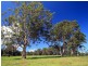 Lot 117a and 4 Taylors Lane, Cambewarra NSW 2540