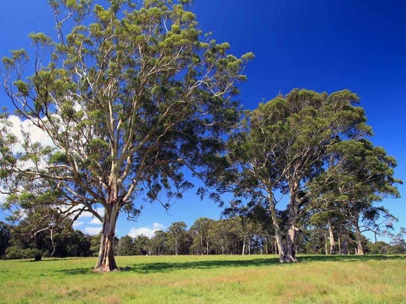 Lot 117a and 4 Taylors Lane, Cambewarra NSW 2540