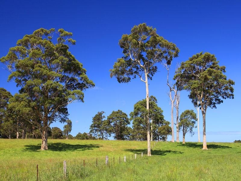 Lot 117a and 4 Taylors Lane, Cambewarra NSW 2540