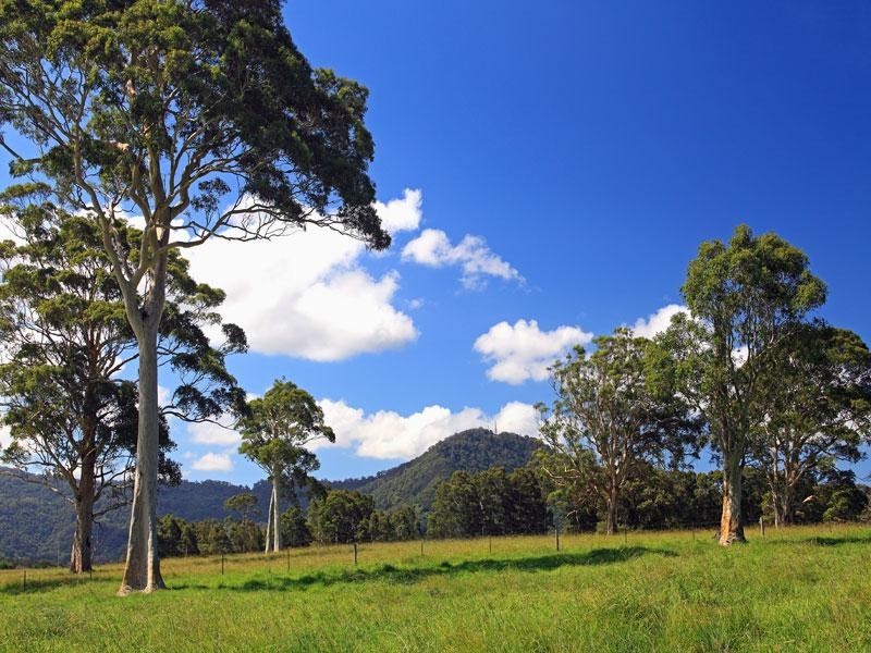 Lot 117a and 4 Taylors Lane, Cambewarra NSW 2540