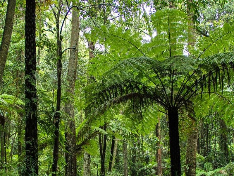 3/22 Riversdale Road, Tapitallee NSW 2540