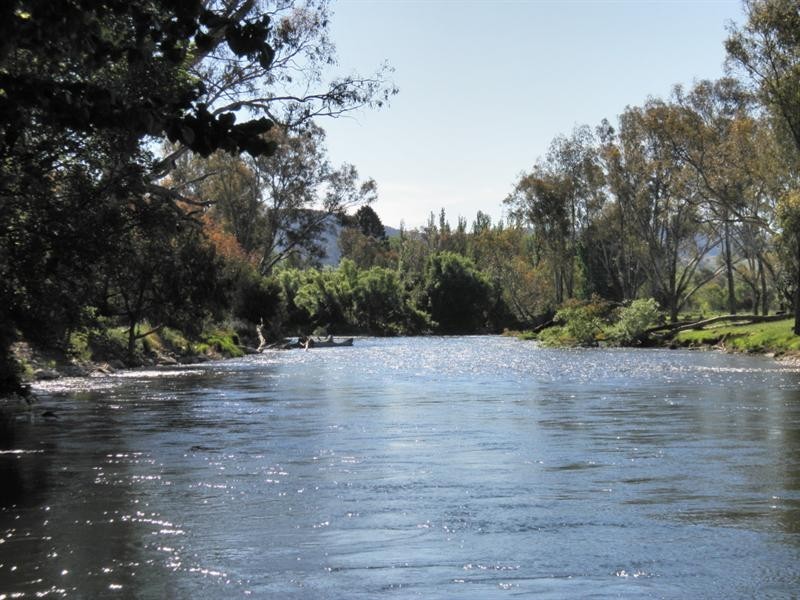 Adelong Road, Tumut NSW 2720