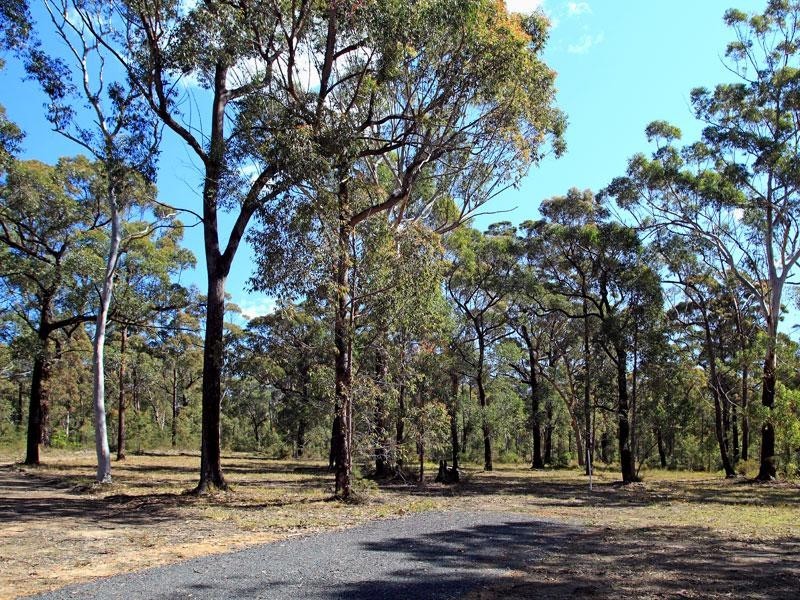 Lots 2 and 5 Gannet Road, Bamarang NSW 2540