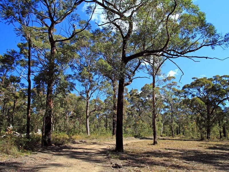 Lots 2 and 5 Gannet Road, Bamarang NSW 2540