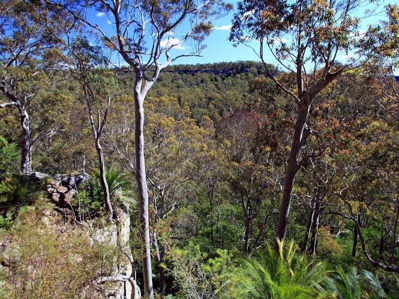 Lots 2 and 5 Gannet Road, Bamarang NSW 2540