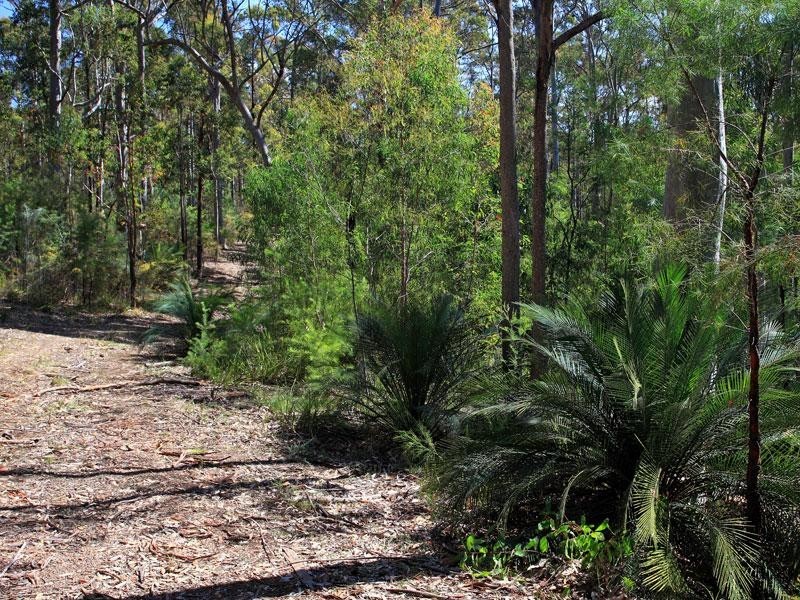 Lots 2 and 5 Gannet Road, Bamarang NSW 2540