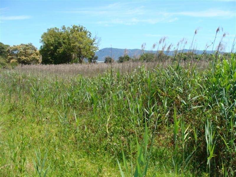 Lot 1 Millbank Road, Terara NSW 2540