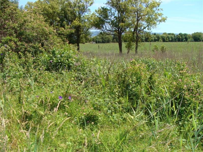 Lot 1 Millbank Road, Terara NSW 2540