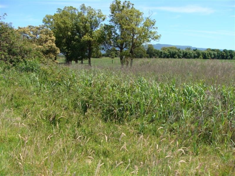 Lot 1 Millbank Road, Terara NSW 2540