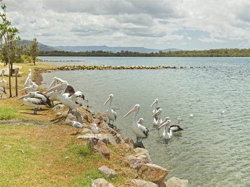 12 West Street, Greenwell Point NSW 2540