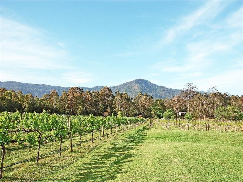 520 Illaroo Road, Cambewarra NSW 2540