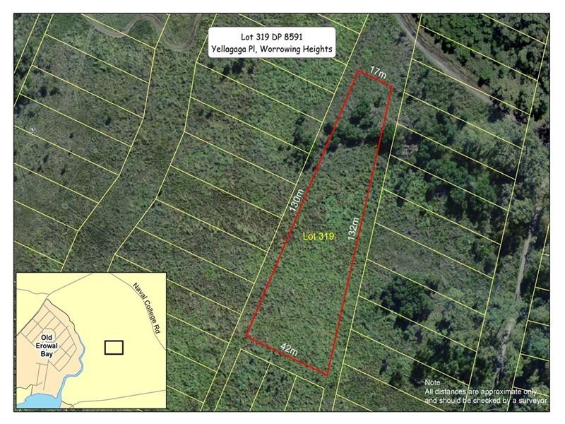 Lot 319 DP 8591, Yellagaga Place, Worrowing Heights NSW 2540