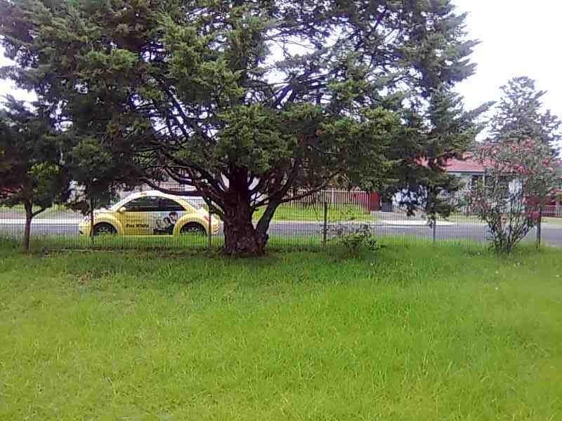 9 Quickmatch Street, Nowra NSW 2541