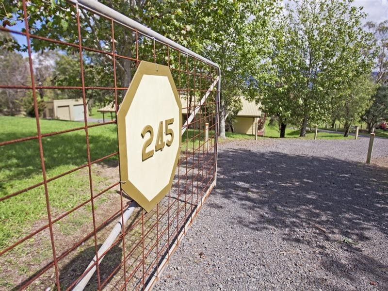 245 Backforest Road, Back Forest NSW 2535