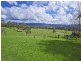 245 Backforest Road, Back Forest NSW 2535