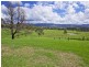 245 Backforest Road, Back Forest NSW 2535