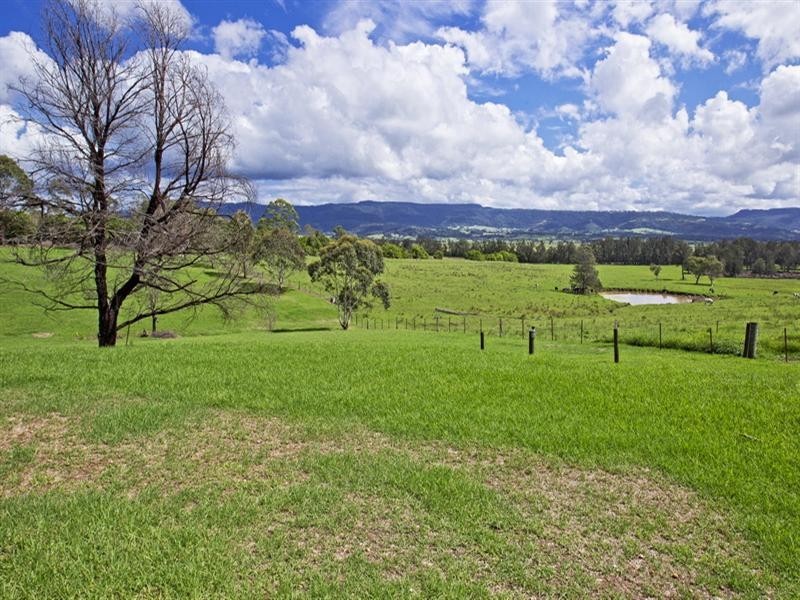 245 Backforest Road, Back Forest NSW 2535