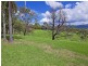 245 Backforest Road, Back Forest NSW 2535