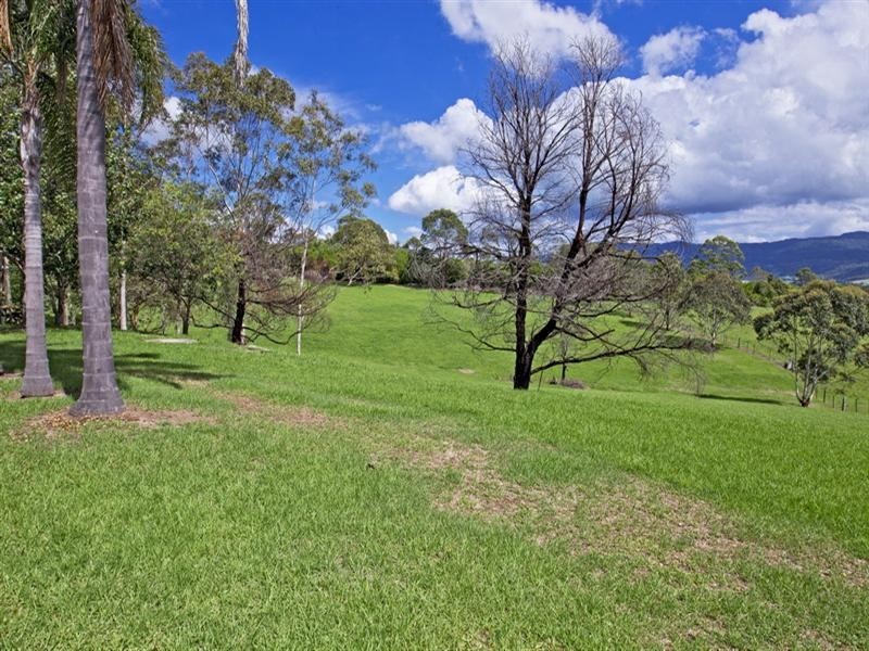 245 Backforest Road, Back Forest NSW 2535