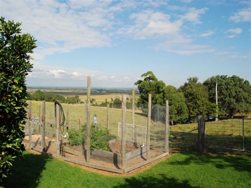 29 Strongs Road, Jaspers Brush NSW 2535