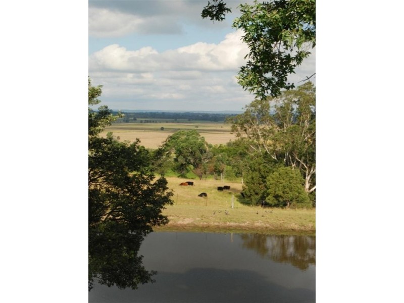 29 Strongs Road, Jaspers Brush NSW 2535