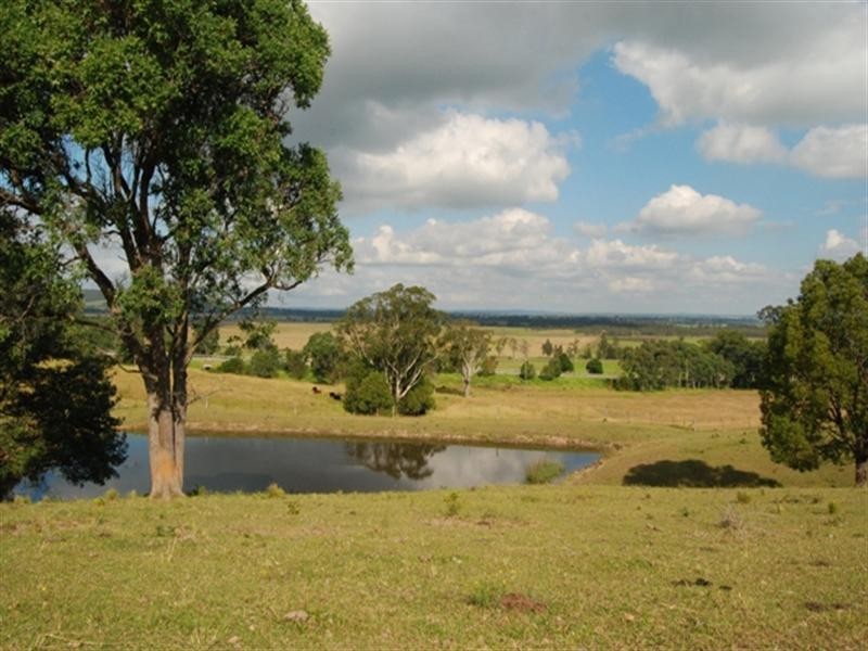 29 Strongs Road, Jaspers Brush NSW 2535